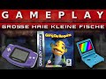 Video Gameplay : Grosse Haie - Kleine Fische (Gameboy Advance)