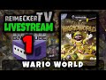 Video RTV - Livestream - Wario World (Gamecube) Part 1