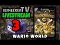 Video RTV - Livestream - Wario World (Gamecube) Part 3