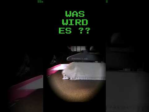 Reimecker TV (Do It Yourself) - Was wird es ?? Teil 2