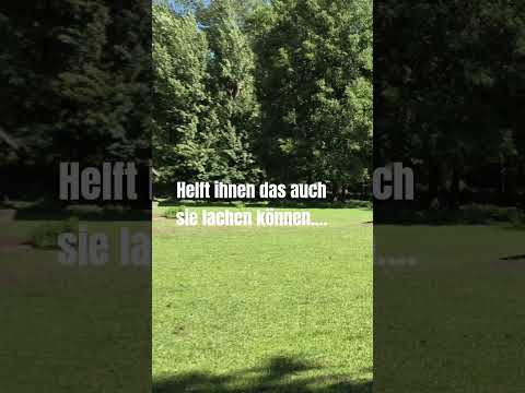 Reimecker TV - Verrückte Welt Reimecker TV - Verrückte Welt