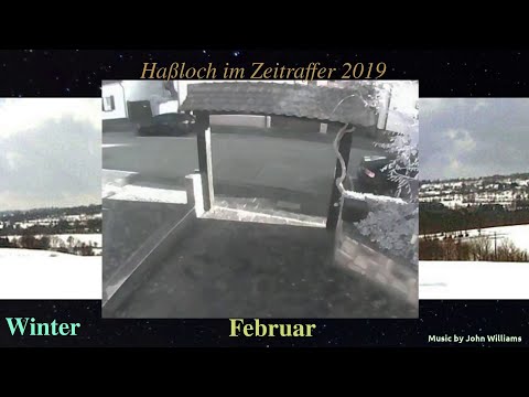 Die Welt im Zeitraffer 2019