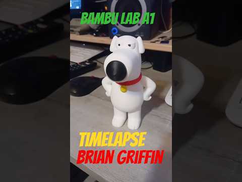 Reimecker TV - Bambu A1 - Brian Griffin Timelapse