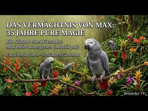 Max der Graupapagei, er war 35 Jahre bei uns (Audio) Max der Graupapagei, er war 35 Jahre bei uns (Audio)