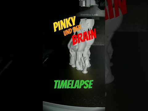Reimecker TV - Bambu A1 - Pinky & Brain - Timelapse