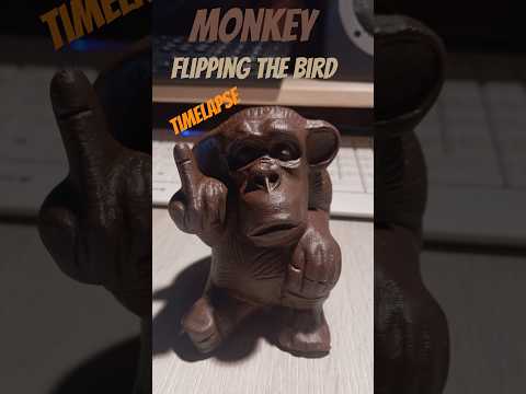 Reimecker TV - Bambu A1 - Monkey Flipping the Bird - Timelapse